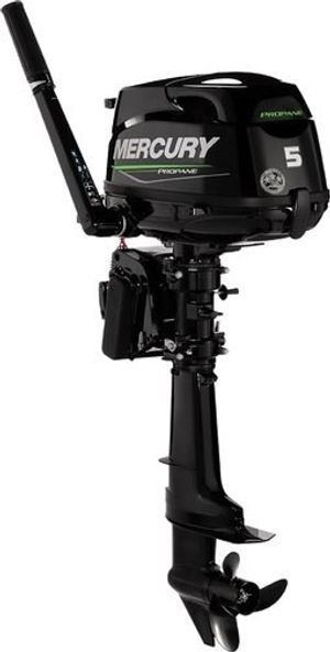 2020 Mercury FourStroke 5 Propane 5 MH LPG 4S