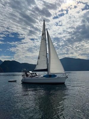 2004 Bavaria 36