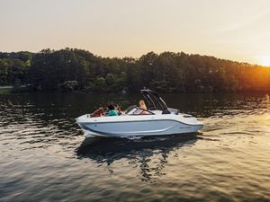 2026 Bayliner D20I