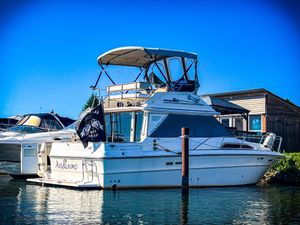 1986 Sea Ray 340 Sedan Bridge
