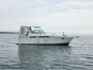 Prowler 315 1988