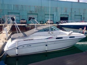 1992 Sea Ray Sundancer 230