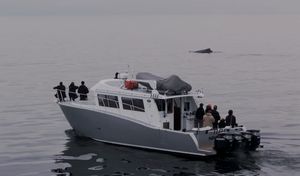 2021 Coastal Craft 41T
