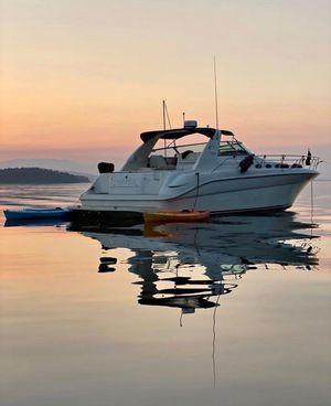 1995 Sea Ray 370 Sundancer