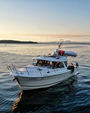 2019 CUTWATER C32 Coupe Northwest Package