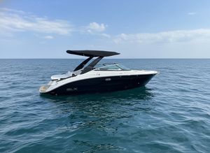 2024 Sea Ray SXS 260