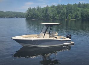 2026 Scout 220 XSF