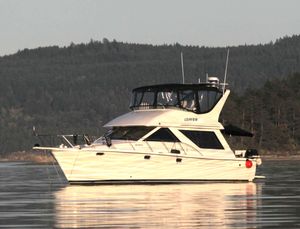 1995 Bayliner 3988 Motor Yacht