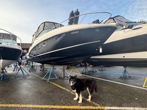 2012 Sea Ray 26 Sundancer