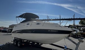 2010 STINGRAY 250 CS