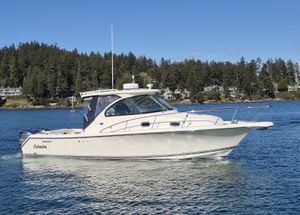 Pursuit OS315 2012