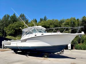 2000 Pursuit 3400 Express
