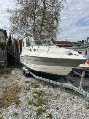 2009 Larson Cabrio 260