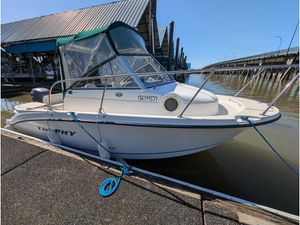 2005 Trophy 1902 Walkaround