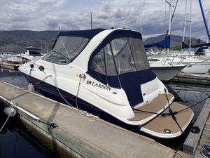 2004 Larson Cabrio 290