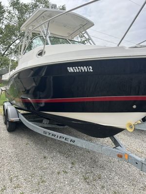 Striper 230 WA 2016