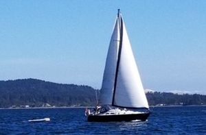 1984 Hunter 34