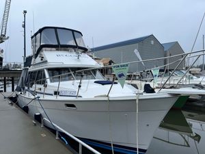 1987 Bayliner 3270