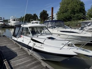 2010 Campion 682