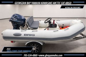 2022 BRIG F300T With 25HP Yamaha Outboard