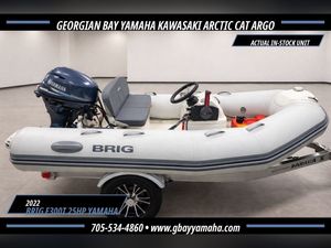 2022 BRIG F300T With 25HP Yamaha Outboard