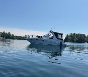 2008 Four Winns Vista 318