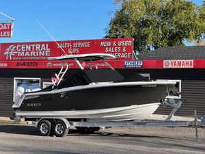 Blackfin 252 DC 2024