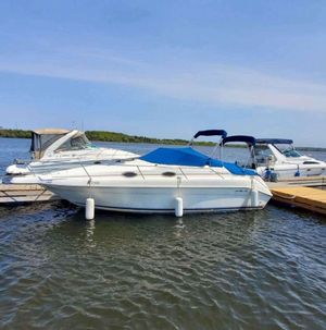 1995 Sea Ray 250 Sundancer