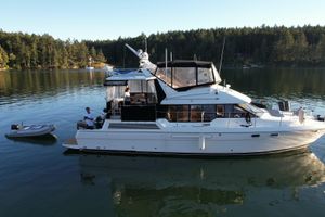1994 Bayliner 4587 Motoryacht