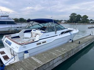1989 Sea Ray Sundancer 300