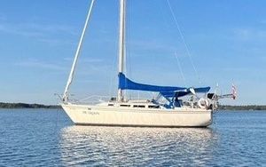 Catalina 1984