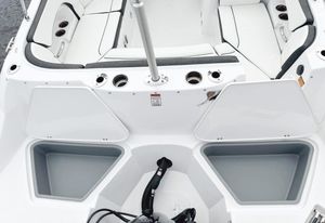 2025 Stingray 231DC