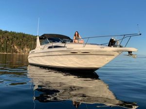 Sea Ray 300 SUNDANCER 1993
