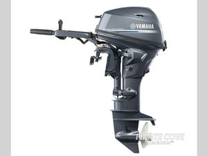 2025 YAMAHA YAMAHA F20LMHB