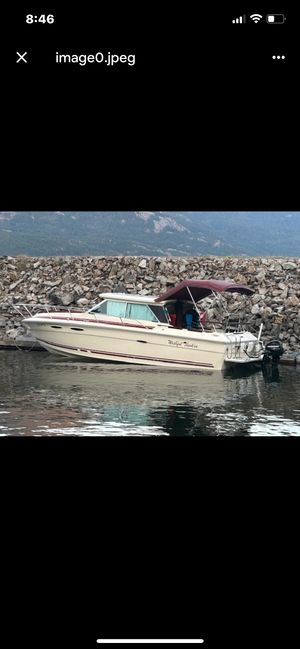 1981 Sea Ray SV 255