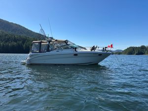 2002 Sea Ray 290 Amberjack
