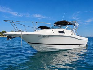 2000 Wellcraft 24 Walkaround