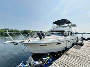 1988 Carver 3807 AFT CABIN