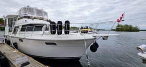 1987 Carver 4207 Aft Cabin