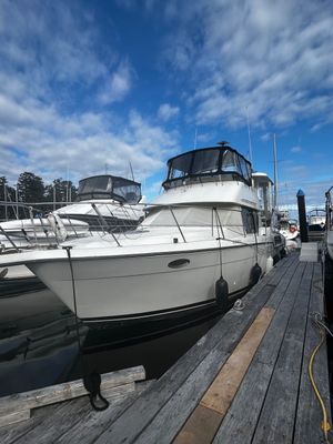 1994 Carver 390