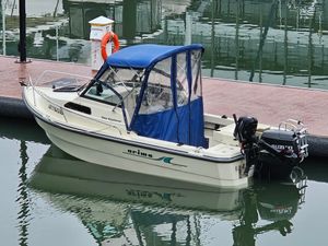 2007 Arima Sea Explorer