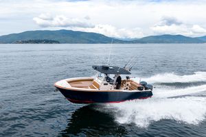 2008 Grady-White 306 Bimini