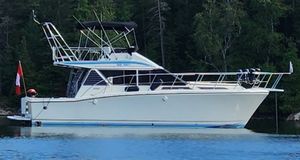 1988 Symbol 39 Sportfisher