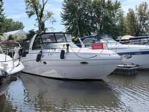 2006 RInker 320