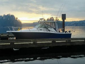 2006 Rampage 30 Express