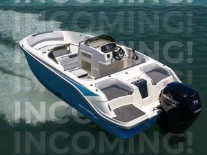 2027 Bayliner 17 Element