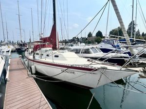 1981 Islander 36