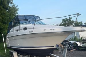 1995 Sea Ray 250 Sundancer