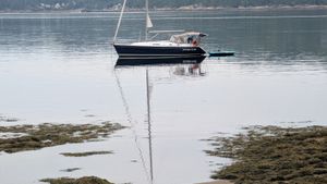 2003 Dufour Yachts Dufour 36 classique