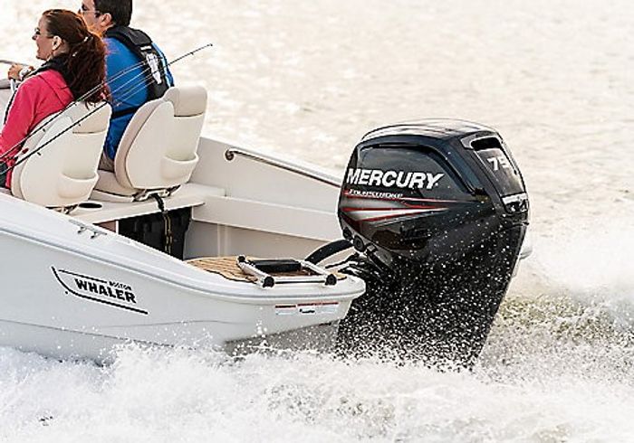 2026 Boston Whaler 160 Sport Photo 3 of 8